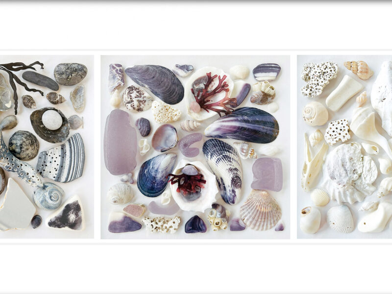 Ebony Ivory Lavender