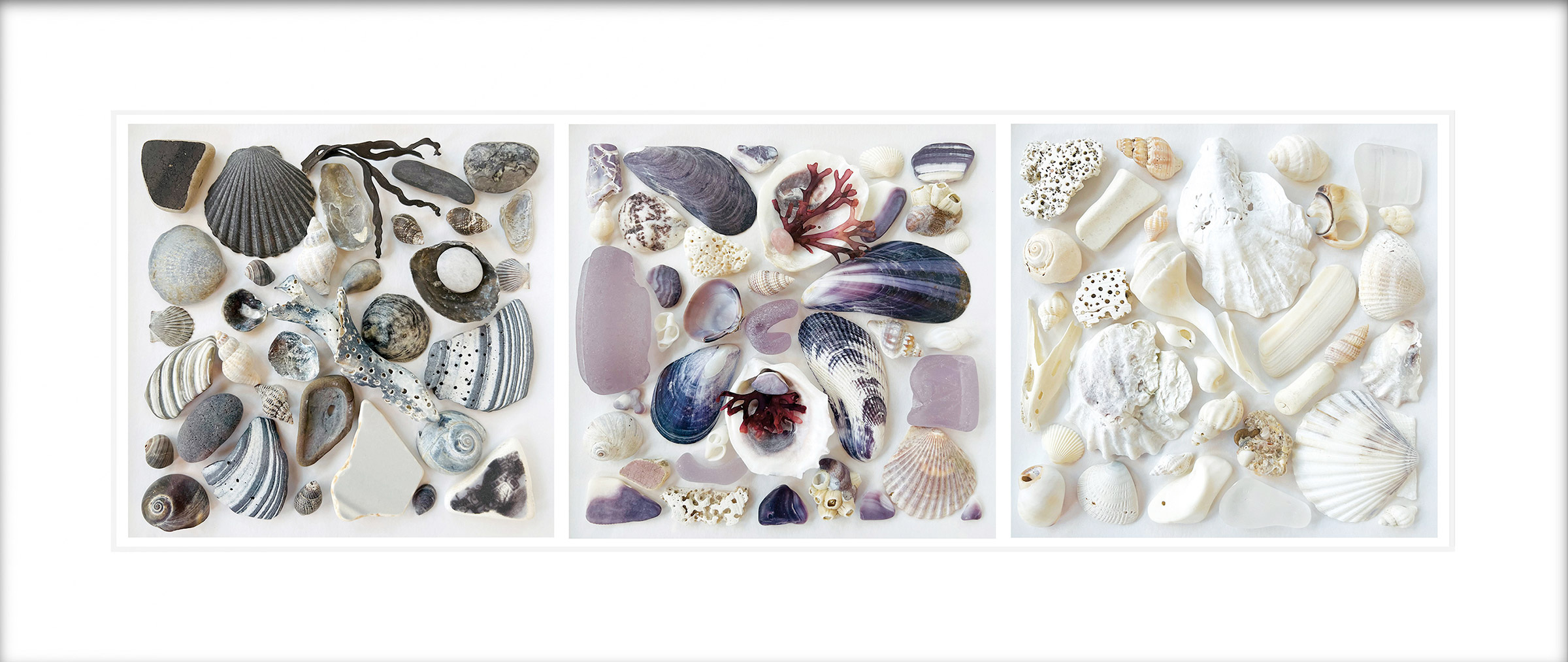 Ebony Ivory Lavender