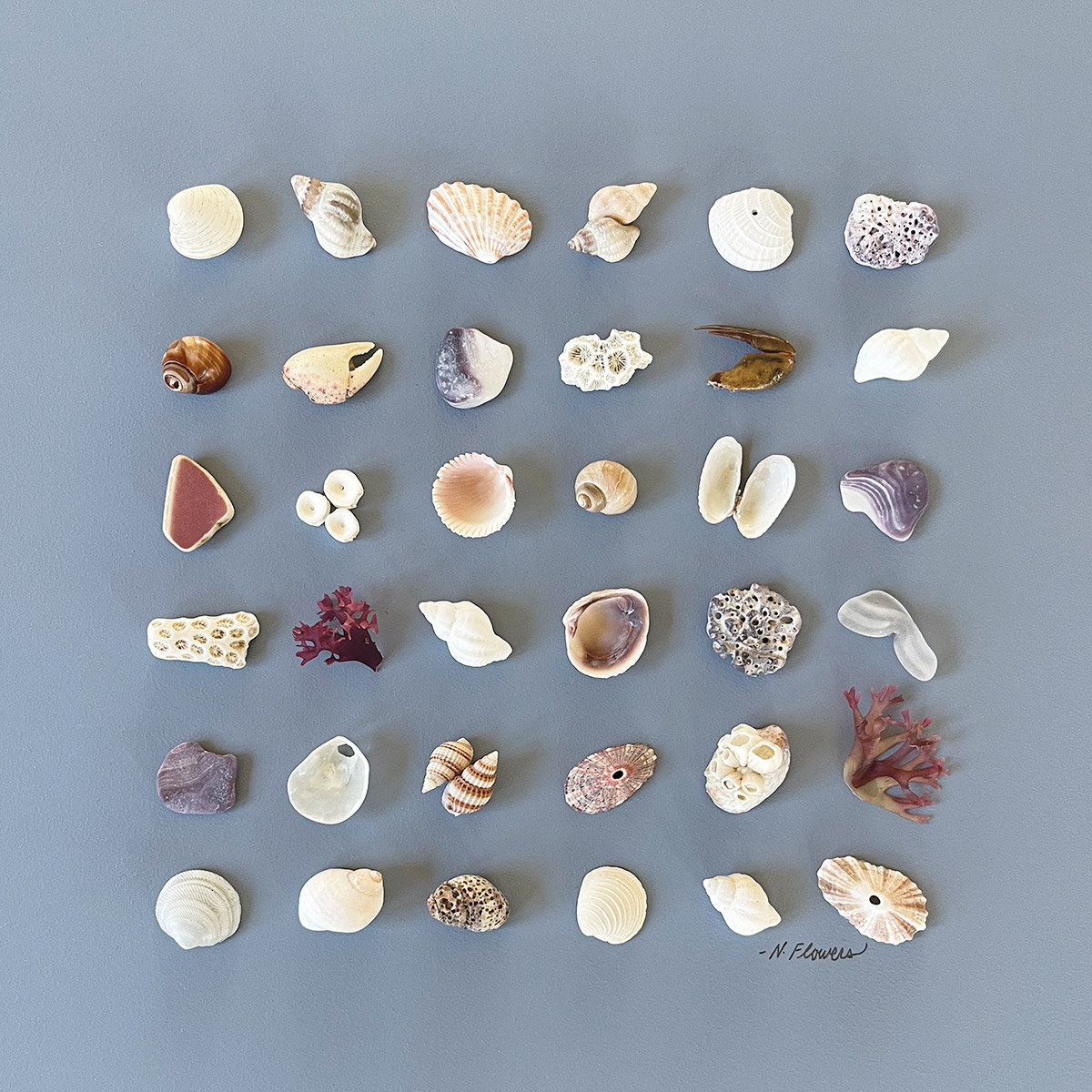 Horizon Lines Shorelines