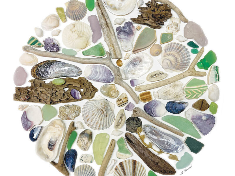 Shoreline Meditations