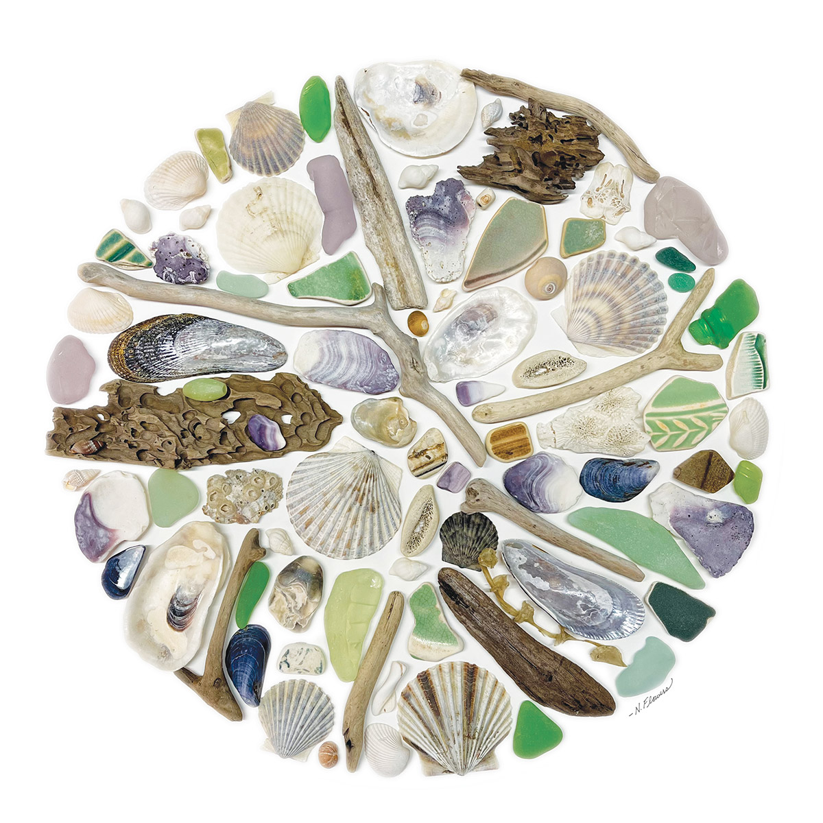 Shoreline Meditations