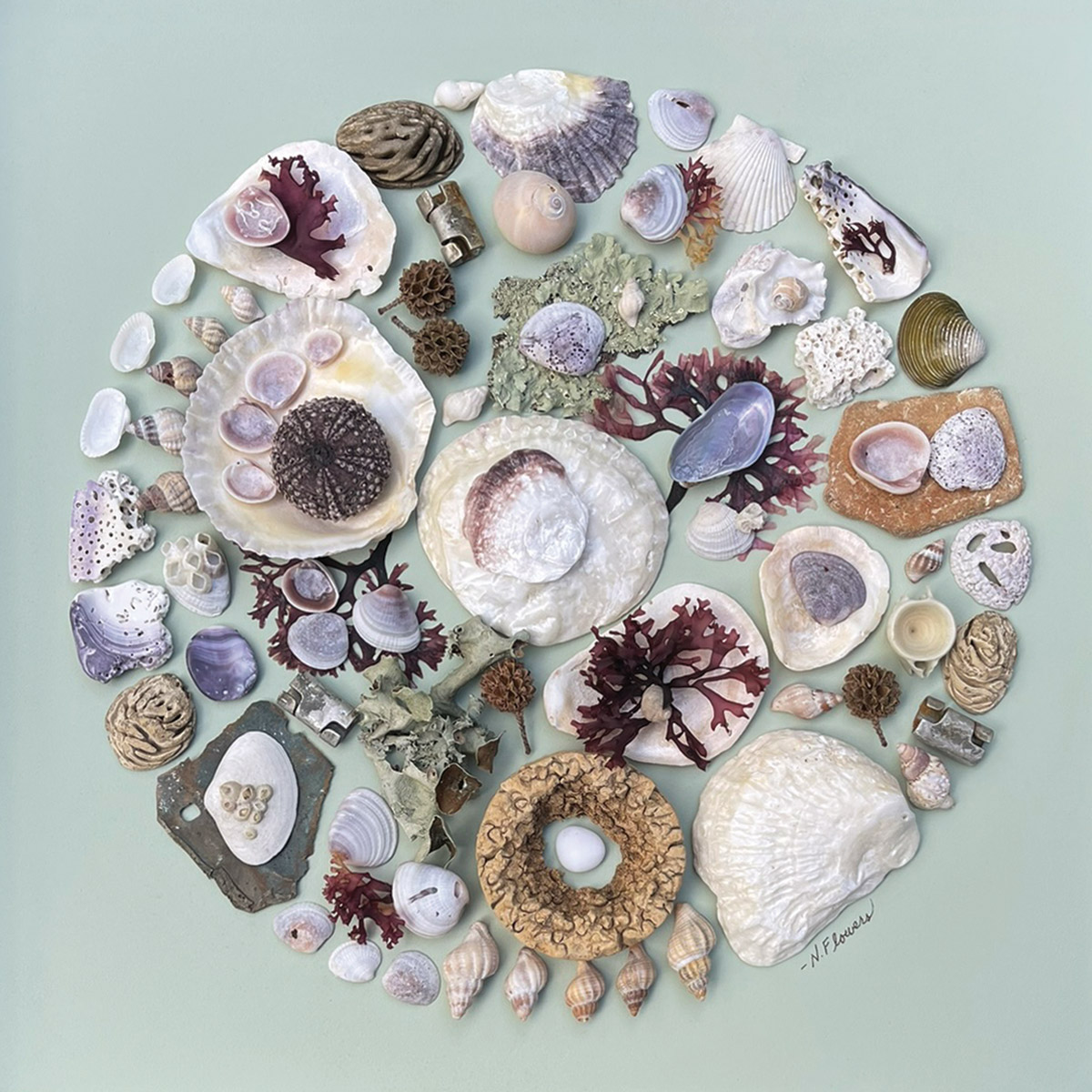 Alchemy of Salt and Lichen